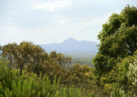 Bremer Bay B&B - Tourism Search 32