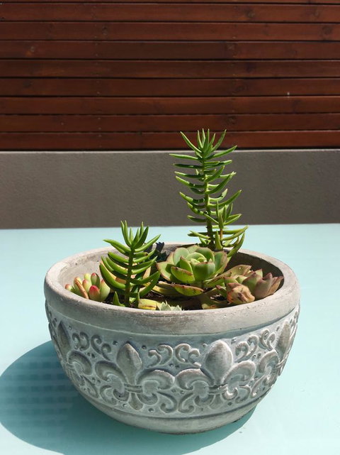 Sandy Bay Studio Apartment - Tourism Search 13