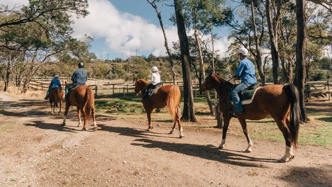 Country Club Tasmania - Tourism Search 7