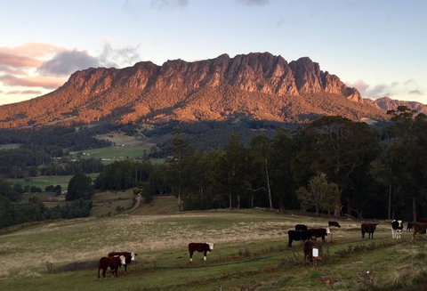 Manna Hill Farm - Tourism Search 10