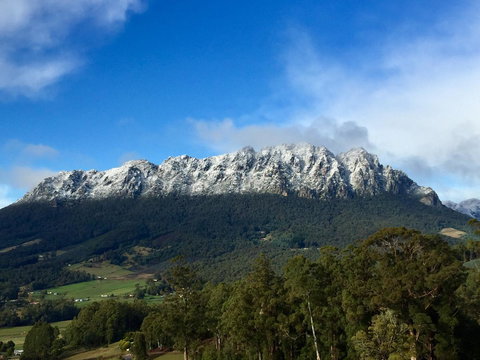 Manna Hill Farm - Tourism Search 6