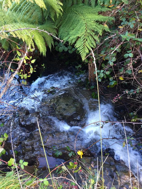 Manna Hill Farm - Tourism Search 26