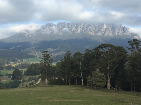 Manna Hill Farm - Tourism Search 31