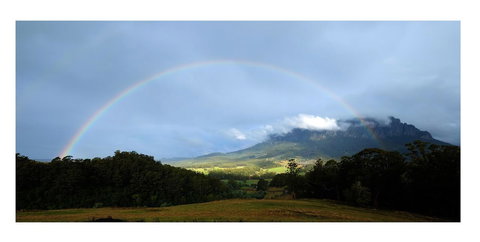 Manna Hill Farm - Tourism Search 8