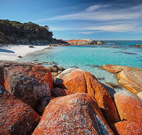 Homelea Accommodation - Tourism Search