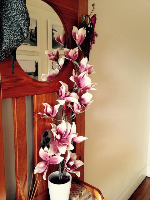 Two Up On York - Tourism Search 39