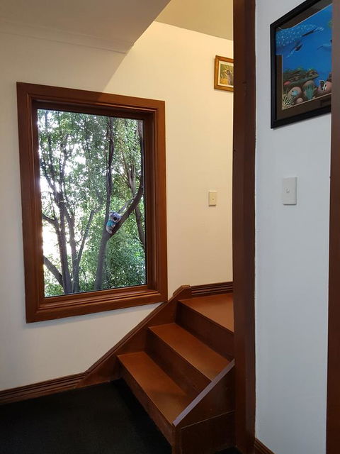 Riverside Studioâ˜†Privateâ˜† - Tourism Search 12