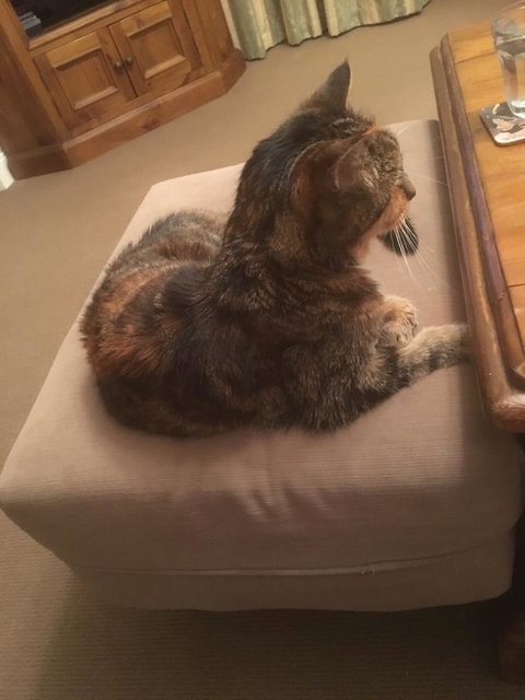 House On The Hill Bed And Breakfast - Tourism Search 13