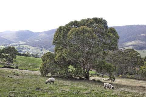 House On The Hill Bed And Breakfast - Tourism Search 16