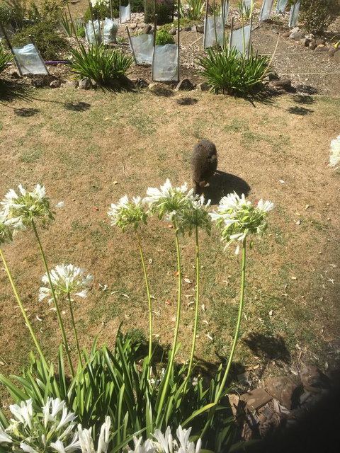 House On The Hill Bed And Breakfast - Tourism Search 10