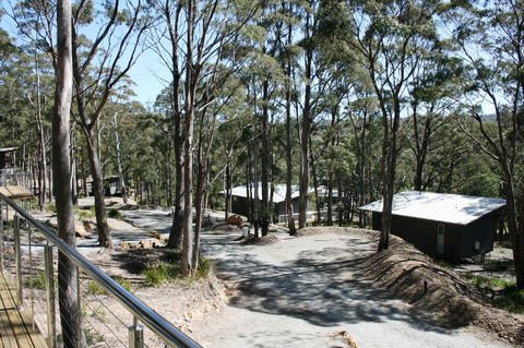 Craggy Peaks Wilderness Cabins - Tourism Search 22