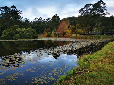 OCT Forest Lodge - Tourism Search 2