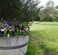 Padthaway Caravan Park - Tourism Search