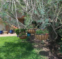 Paradise Apartment - Tourism Search