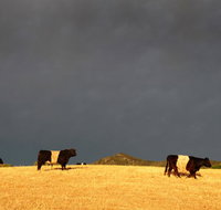 Peppertree Hill - Tourism Search