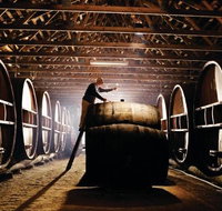 Pieter van Gent Winery  Vineyard - Tourism Search