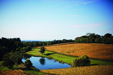 Port Phillip Estate - Tourism Search 2