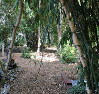 Rainforest Water Front River Shack Secluded. - Tourism Search