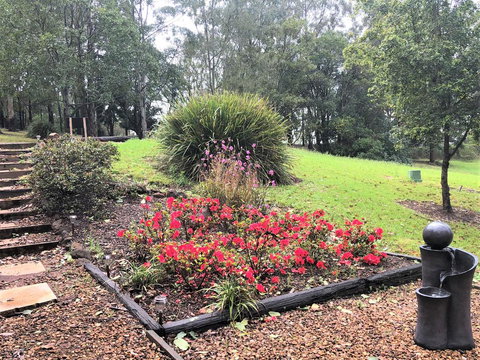 Ravensbourne Escape-Tree Tops - Tourism Search 2