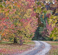 Rustic Spirit - Tourism Search