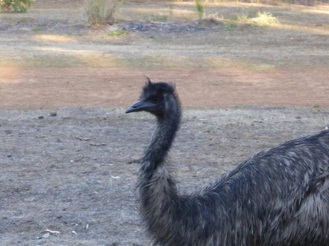 Splendid Wren Cottage - Tourism Search 2