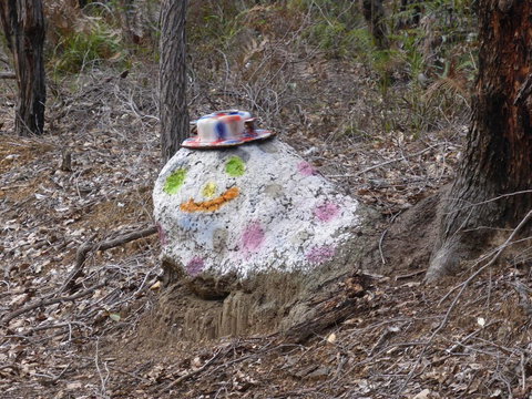 Splendid Wren Cottage - Tourism Search 3