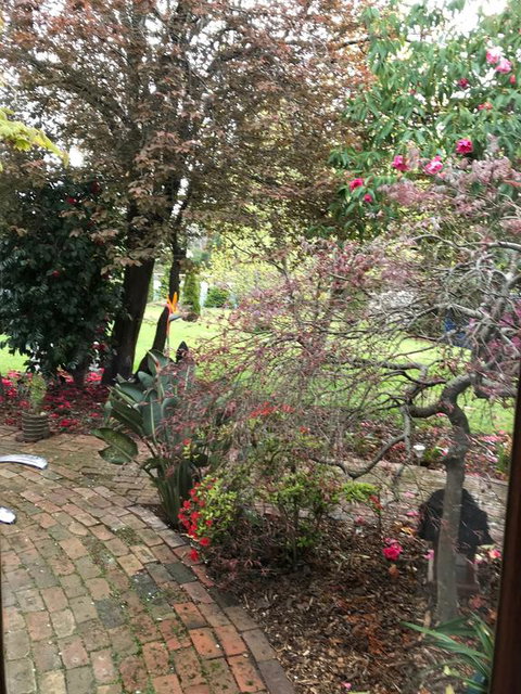 Stony Rise Cottage B&B - Tourism Search 1