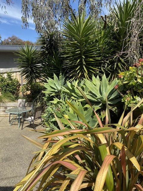 Surf Coast Haven - Tourism Search 3