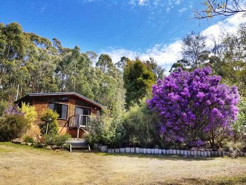 Southern Forest Accommodation - Tourism Search 10