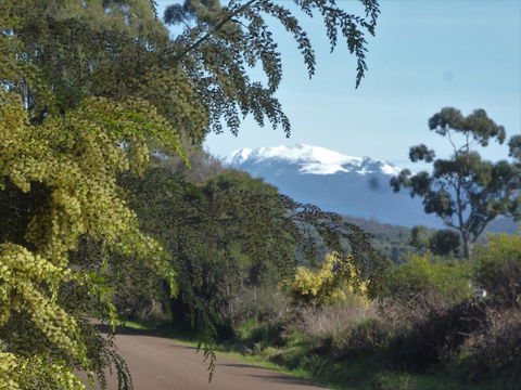 Southern Forest Accommodation - Tourism Search 24