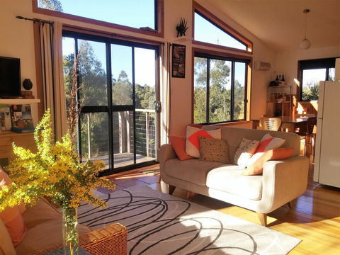 Southern Forest Accommodation - Tourism Search 3