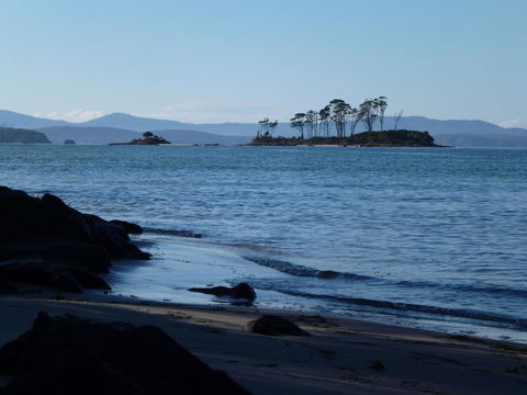 Southern Forest Accommodation - Tourism Search 26
