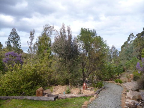 Southern Forest Accommodation - Tourism Search 23