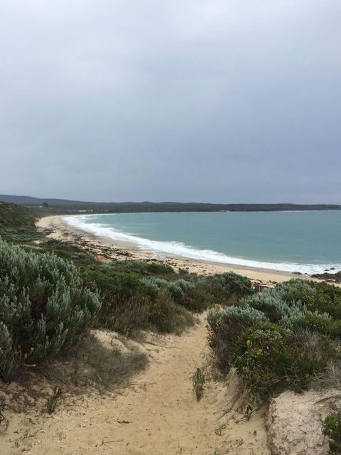 Seaspray - Tourism Search 15