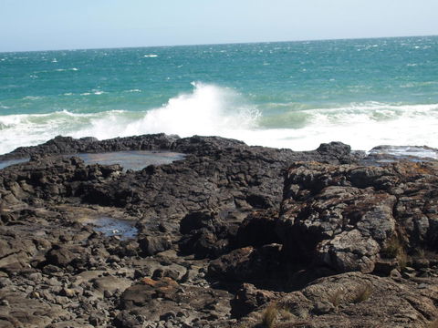 Seaspray - Tourism Search 17