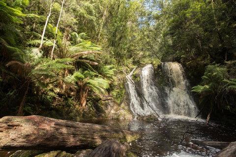 Strahan Village - Tourism Search 27