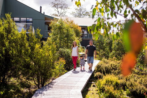 Cradle Mountain Hotel - Tourism Search 23