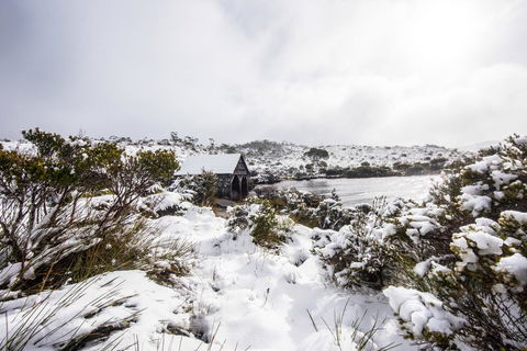 Cradle Mountain Hotel - Tourism Search 38