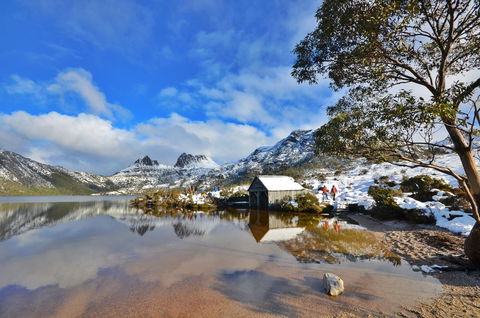 Cradle Mountain Hotel - Tourism Search 3
