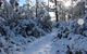 Cradle Mountain Hotel - thumb 4