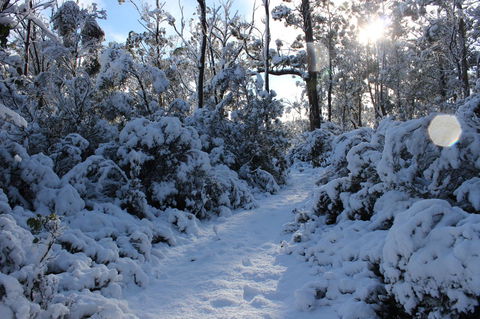 Cradle Mountain Hotel - Tourism Search 4