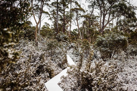Cradle Mountain Hotel - Tourism Search 6