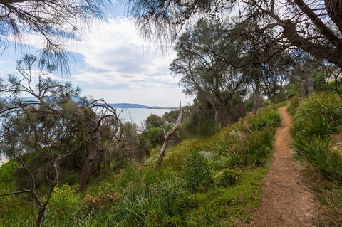 Blessington Beach Retreat - Tourism Search 35