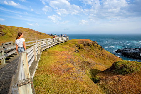 BIG4 Ingenia Holidays Phillip Island - Tourism Search 19