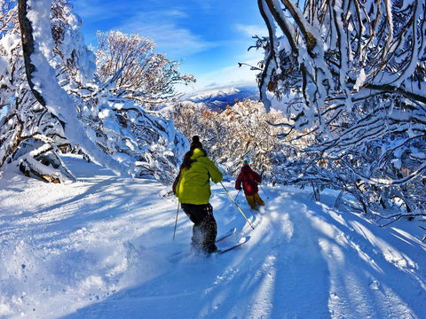 Buller Central Hotel - Tourism Search 13