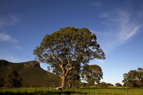Dunkeld Studio Accommodation - Tourism Search 23