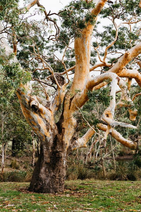 Dunkeld Studio Accommodation - Tourism Search 22