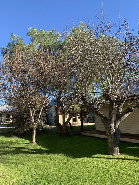 Dunkeld Studio Accommodation - Tourism Search 4