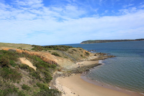 Pelicans Motel San Remo - Tourism Search 19