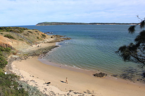 Pelicans Motel San Remo - Tourism Search 20